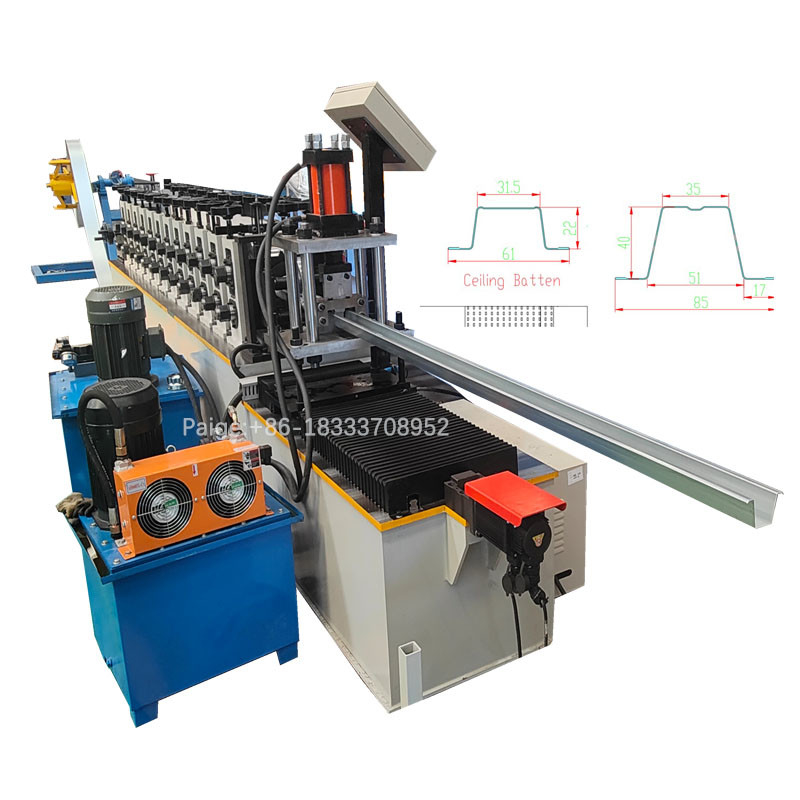 GOUJON EN MÉTAL d'Omega ET DÉPISTER POUR ROULER FORMANT LE GOUJON EN MÉTAL de MACHINE FORMANT LA MACHINE